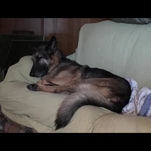 Meet your Posher, Veronica